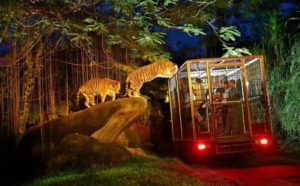 Night at Zoo Gianyar