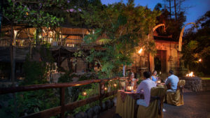 Night at Zoo Gianyar