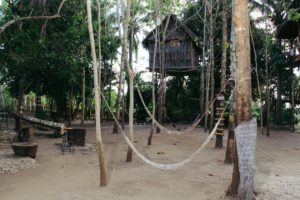 Nyuh Bengkok Tree House Nusa Penida