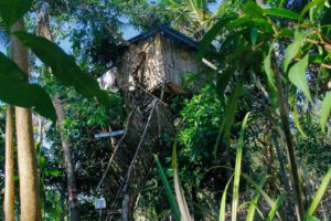 Nyuh Bengkok Tree House Nusa Penida