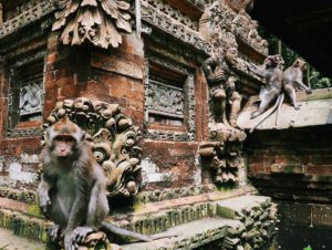 Objek Wisata Alas Kedaton