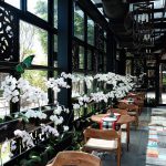 Orchid Tea House