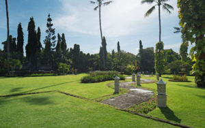 Paket Wedding White Rose Kuta