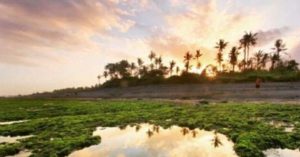 Pantai Cucukan Gianyar