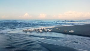 Pantai Keramas Gianyar