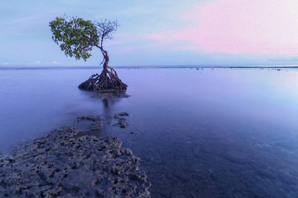 Pantai Pemuteran Buleleng
