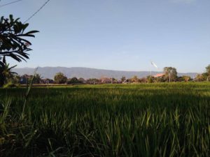 Pantai Penimbangan Buleleng