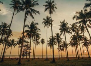 Pantai Sepi Pengunjung di Bali