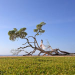 Pantai Serenity Nusa Dua