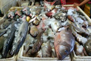 Pasar Ikan Kedonganan Jimbaran