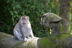 Patung monyet di Monkey Forest Ubud