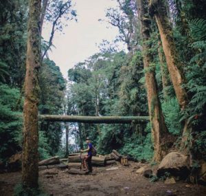 Pucak Mangu Gunung Catur