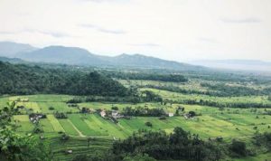 Puncak Jati Desa Timuhun