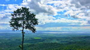 Puncak Mawar Jembrana