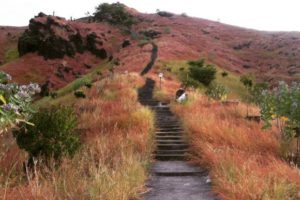 Pura Batu Kursi Pemuteran