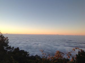 Pura Pucak Kedaton Tabanan