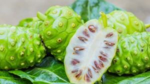 Rujak Tradisional Bali