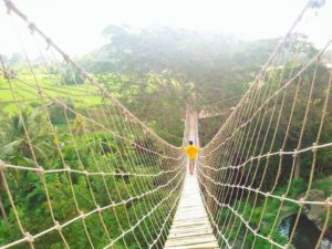 Rumah Pohon Bukit Lemped Karangasem