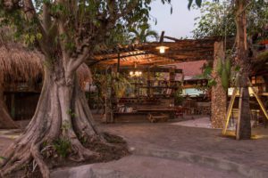 Rumah Pohon Pangeran Cilik Bali