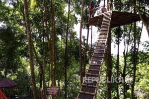 Rumah Pohon Temega Karangasem