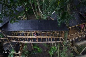 Rumah Pohon Temega Karangasem