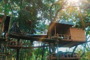 Rumah Pohon Temega Karangasem