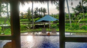 Sapulidi Resort Ubud