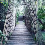 Sapulidi Resort Ubud