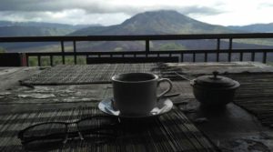 Sari Organik Pulu Mujung Warung Kintamani