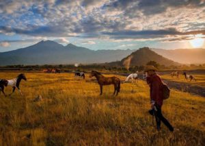 Savana Tianyar Karangasem