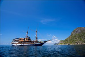 Sea Safari Cruise Bali