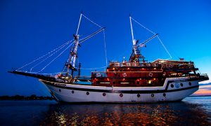 Sea Safari Cruise Bali