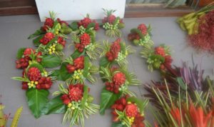 Sekar Bumi Farm Desa Kerta