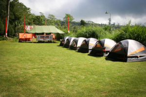 Sekar Bumi Farm Desa Kerta