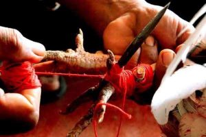 Senjata Tradisional Khas Bali