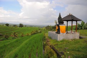 Sistem Irigasi Tradisional Subak