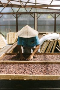 Sorga Chocolate Karangasem