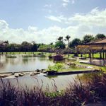 Taman Jepun Bali Frangipani