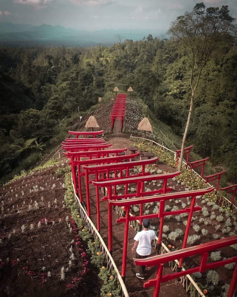 Taman Jinja Karangasem Destinasi Wisata Terbaru Bali Dengan Suasana Mirip Di Jepang Info Wisata Kintamani Bali
