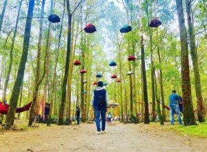 Taman Wisata Ampupu Kembar Kintamani