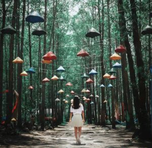 Taman Wisata Ampupu Kembar Kintamani