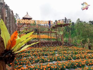 Taman Wisata Edelweiss Karangasem