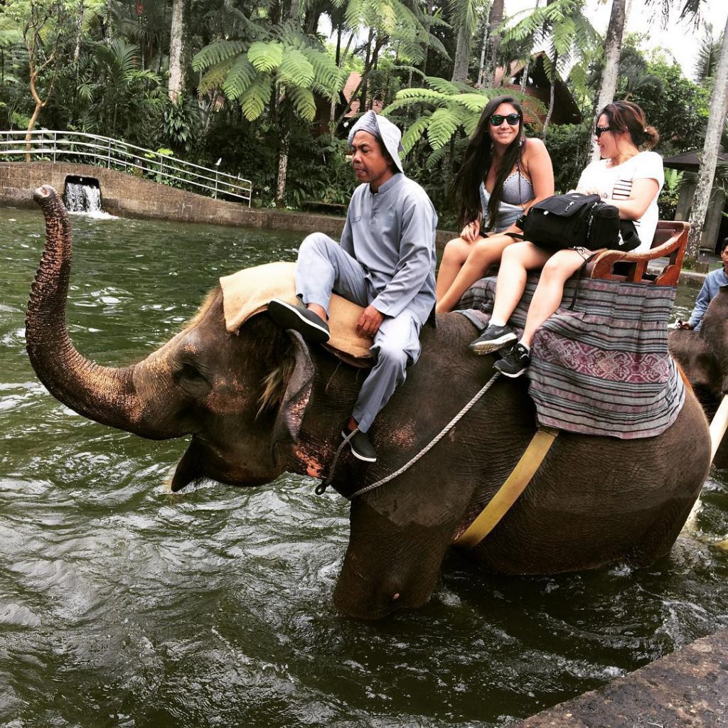 Taro Elephant Safari Park Ubud