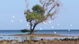 Teluk Banyuwedang Buleleng