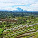 Terasering Jatiluwih Tabanan