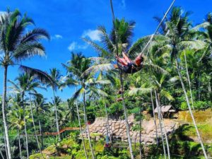 Terrace River Pool Swing Ubud