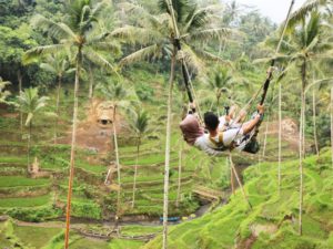 Terrace River Pool Swing Ubud