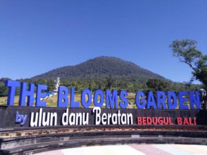 The Bloom Garden Bedugul
