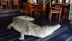 The Bush Telegraph Pub Seminyak