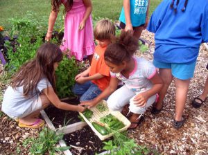 The Sila's Agroturism bali